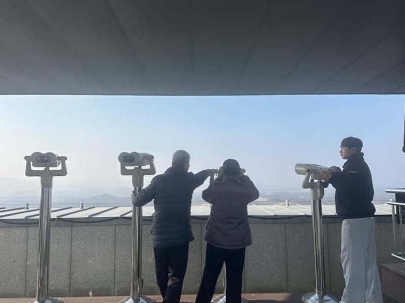 Seoul: DMZ, 3rd Tunnel, Odusan or Suspension Private Tour - The Guide’s Role and Impact