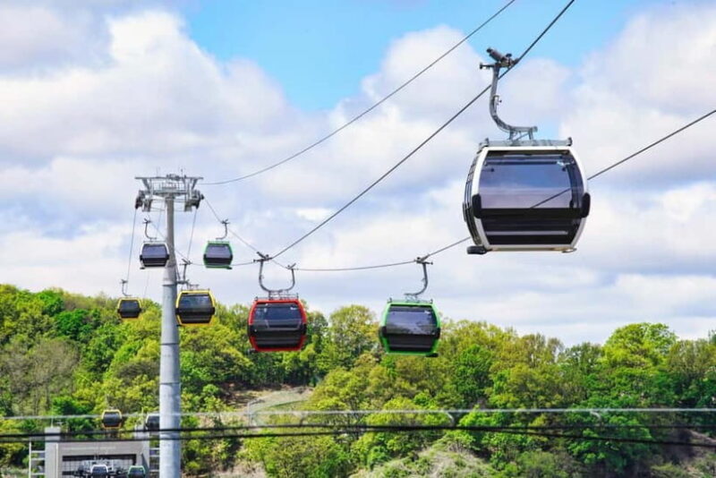 Seoul: DMZ, 3rd Tunnel, Odusan or Suspension Private Tour - Practical Details and Tips