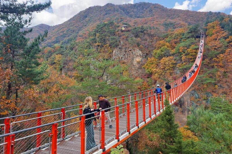 Seoul: DMZ Guided Tour with Suspension Bridge and Gondola - Who Will Benefit Most from This Tour?