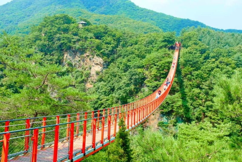 Seoul: DMZ The 3rd Tunnel and Suspension Bridge Tour - An In-Depth Look at the Tour Experience