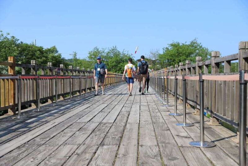 Seoul: DMZ The 3rd Tunnel and Suspension Bridge Tour - Who Is This Tour Best For?