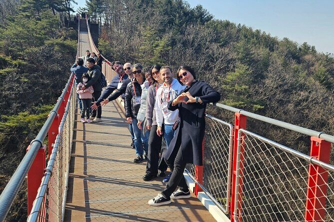 Seoul DMZ Tour with 3rd Tunnel and Red Suspension Bridge - Who Should Consider This Tour?