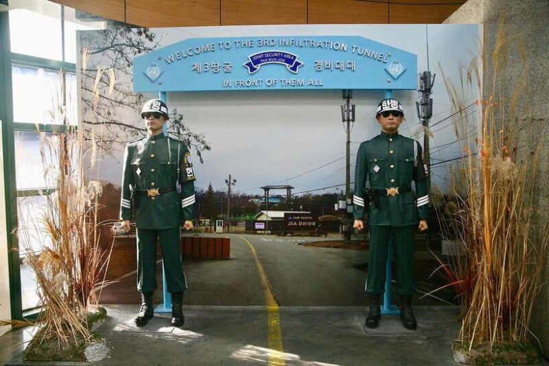 Seoul: DMZ Tour with Japanese-Speaking Guide - Practical Tips and Considerations