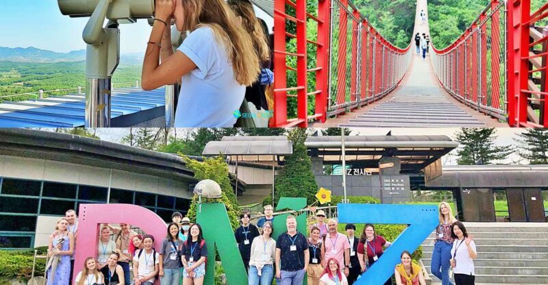 Seoul: DMZ Tour with North Korea Experience Hall - 365 Days - FAQ