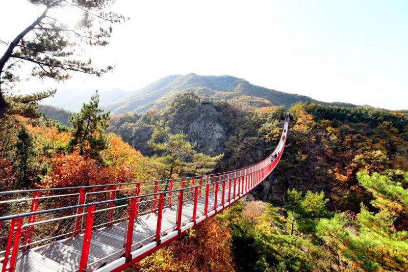 Seoul: DMZ Tour with Optional Suspension Bridge - Practical Tips for Travelers