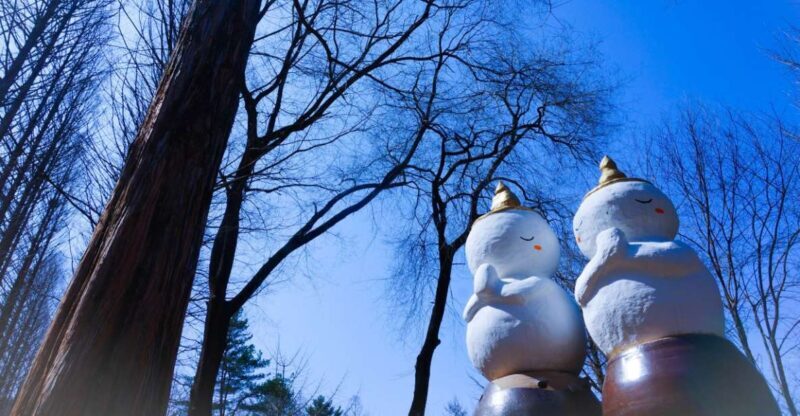 Seoul: Elysian Gangchon Winter Ski with Nami Island Day Tour