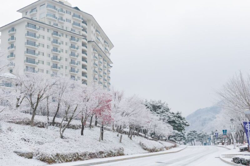 Seoul: Elysian Gangchon Winter Ski with Nami Island Day Tour - Authentic Experiences and Practical Insights