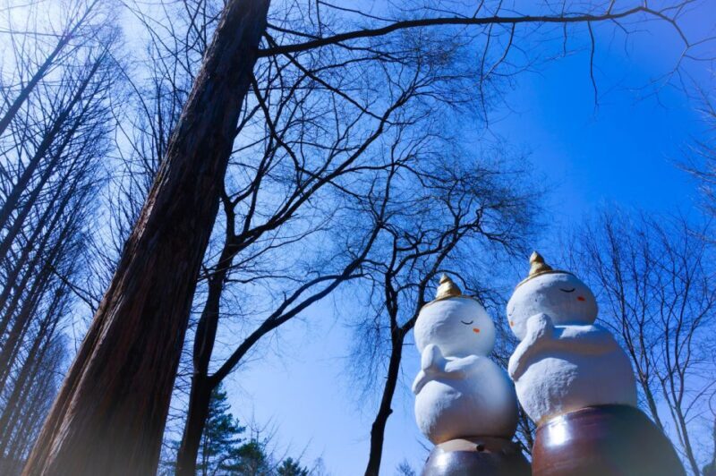 Seoul: Elysian Gangchon Winter Ski with Nami Island Day Tour - Who Will Love This Tour?