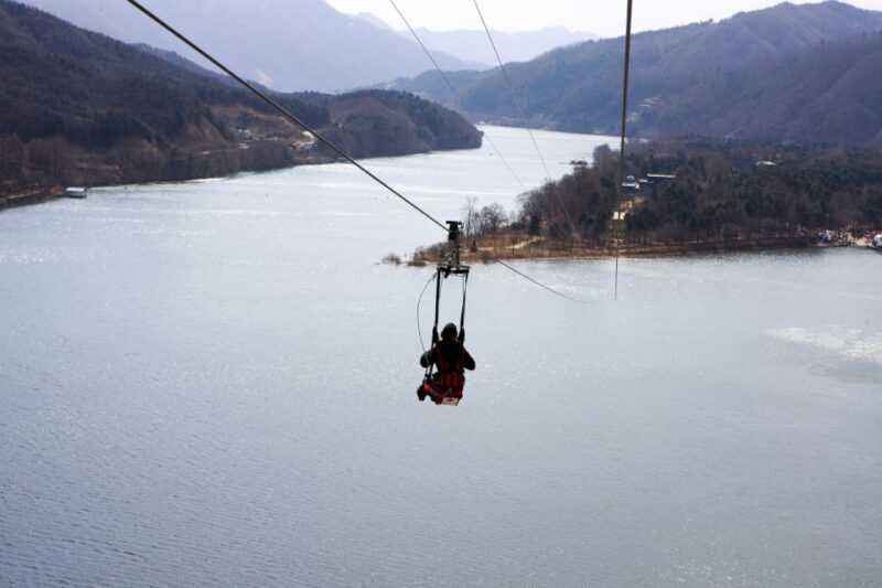 Seoul: Elysian Gangchon Winter Ski with Nami Island Day Tour - The Sum Up