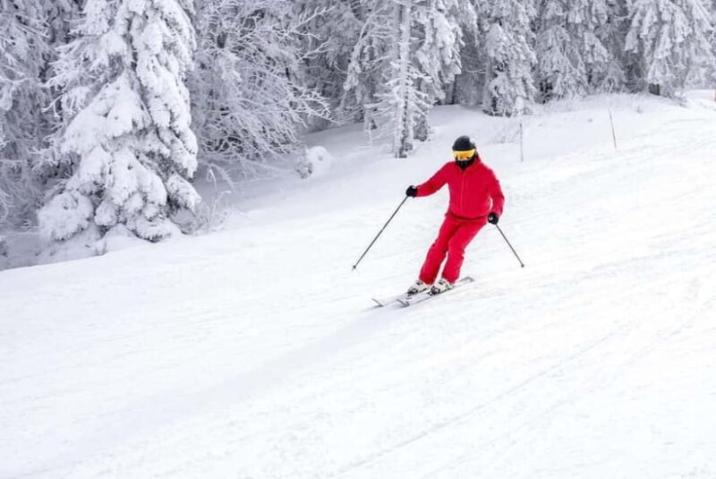 Seoul: Elysian Ski Resort & Eobi Ice Valley - What to Expect from the Tour