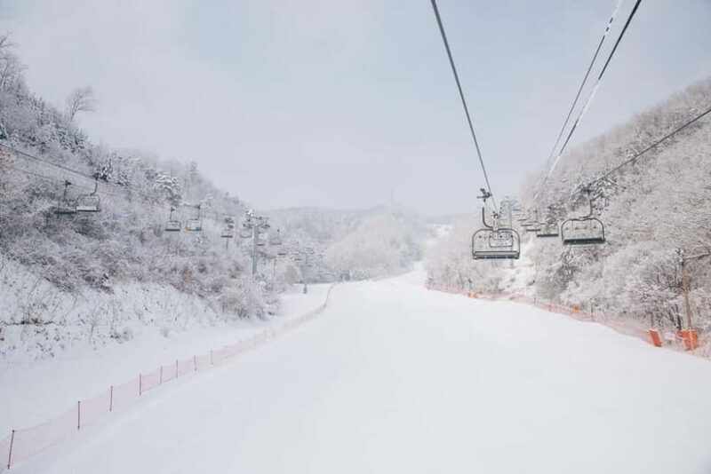 Seoul: Elysian Ski Resort & Eobi Ice Valley - Practicalities and Considerations