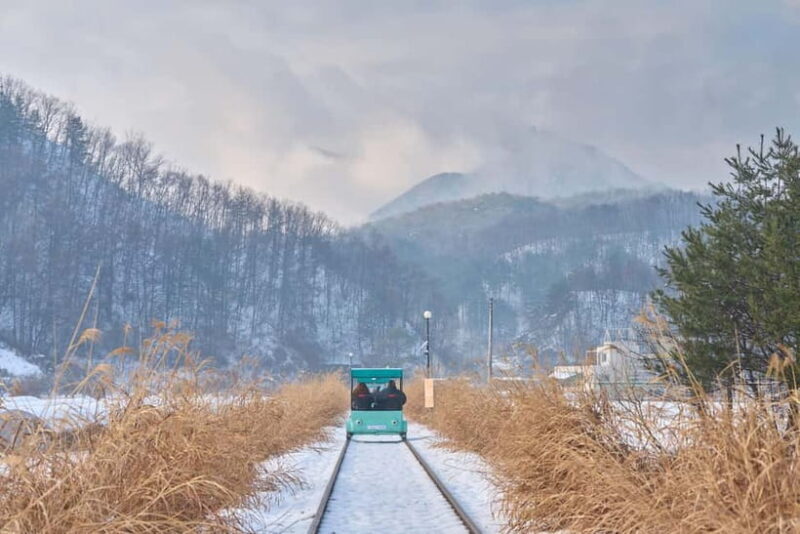Seoul: Eobi Valley(Winter), Strawberry, Nami Island and Bike - Who Will Love This Tour?