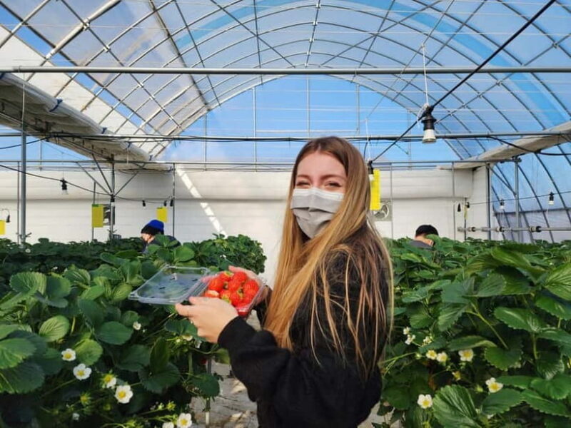 Seoul: Eobi Valley(Winter), Strawberry, Nami Island and Bike - Frequently Asked Questions