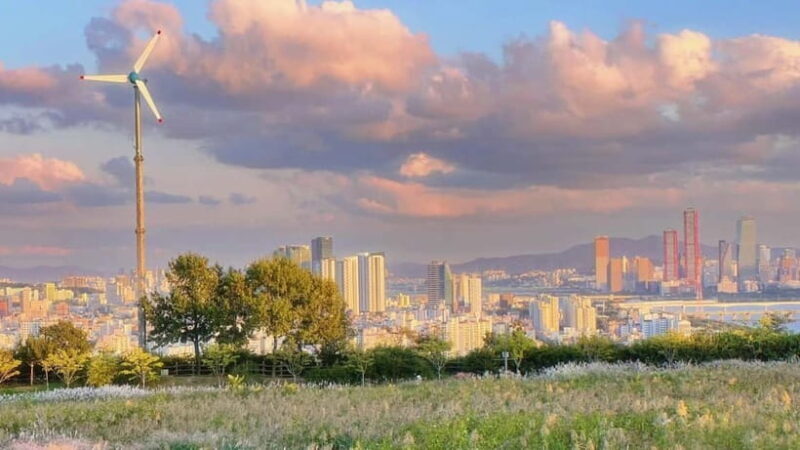 Seoul Full-Day City Tour: Hanok Village, Scenic Routes - An In-Depth Look at the Tour Experience