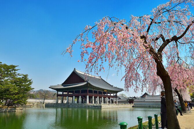 Seoul Full day Private Tour Gyeongbokgung Palace, Insadong & More - An Introduction to Seoul’s Must-See Sights in One Day