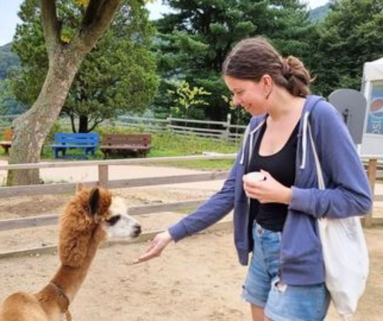 Seoul: Gangwon-do Day Trip with Alpaca World & Nami Island - FAQs
