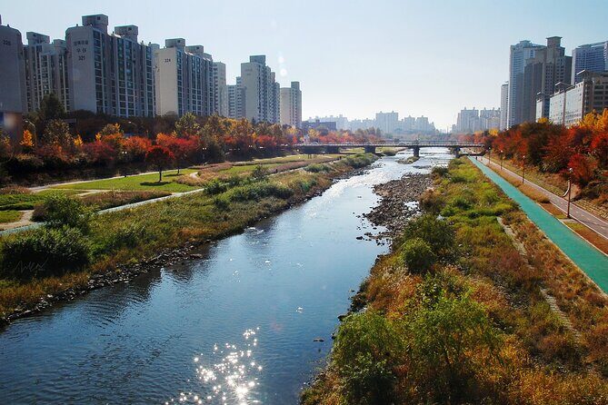 Seoul Gimpo Airport (GMP) Transfer to Seoul/Suwon/Seongnam/Yongin - Final Thoughts: Is It Worth It?