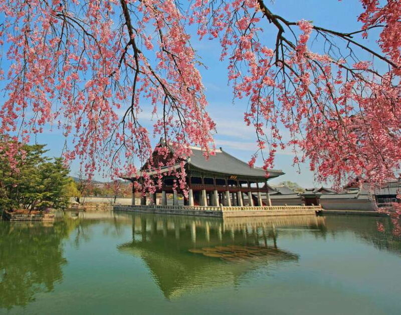 Seoul: Gyeongbok Palace, N Seoul Tower (with Cable Car) - Key Points