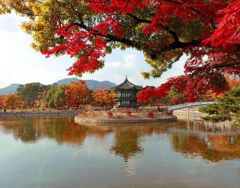 Seoul: Gyeongbok Palace, N Seoul Tower (with Cable Car) - An In-Depth Look at the Tour Experience