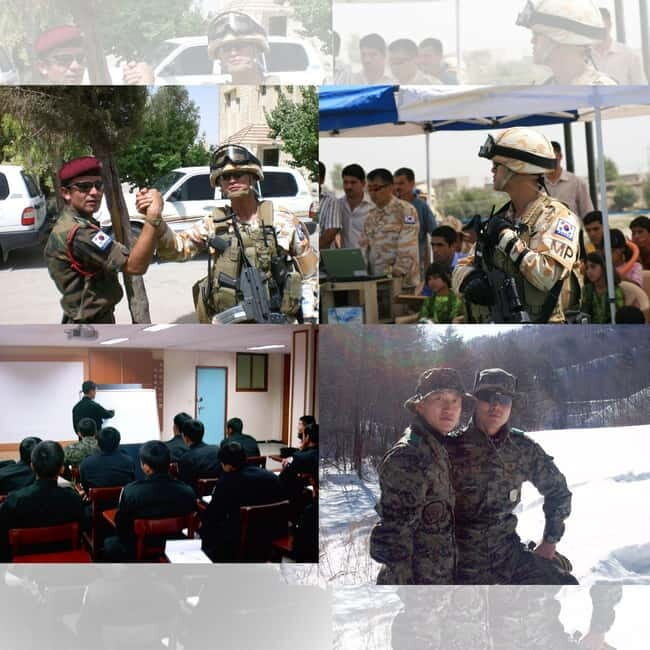Seoul: Half-Day DMZ Tour Led by a Retired Military Officer - An Honest Look at What to Expect