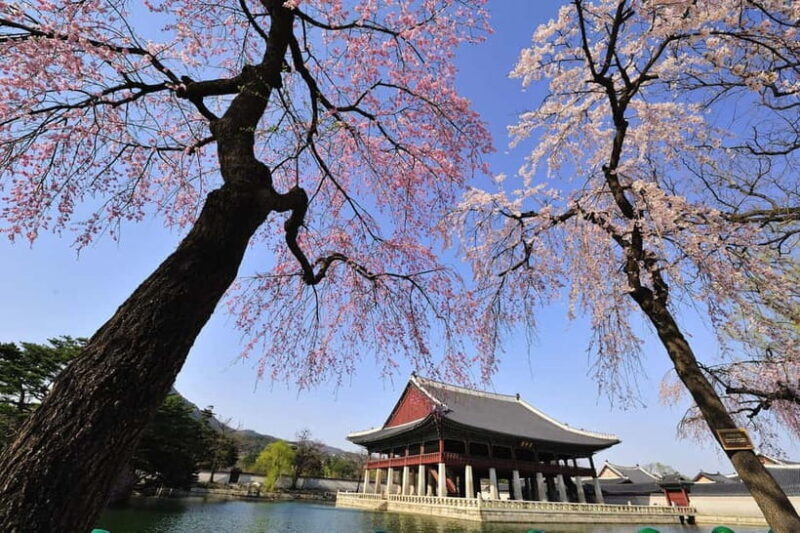 Seoul: Highlights of Seoul Full-Day Tour - Exploring Seoul in a Day: What to Expect