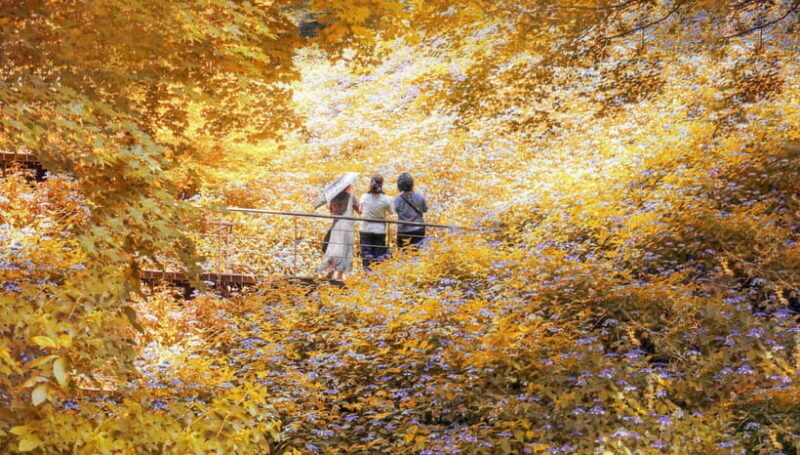 Seoul: Hwadam Forest & Namhansanseong & Korean Folk Village - Practical Details and Value