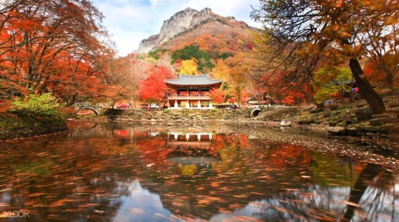 Seoul: Hwadamsup & Luge & Korea Folk Village One Day Tour - Exploring Hwadam Botanic Garden: Nature’s Quiet Corner