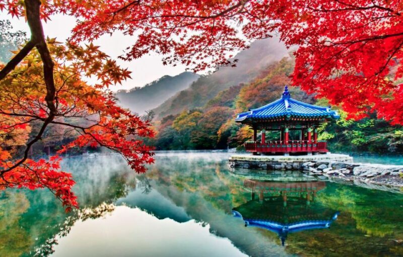 Seoul: Hwadamsup & Luge & Korea Folk Village One Day Tour - Practical Details and Logistics