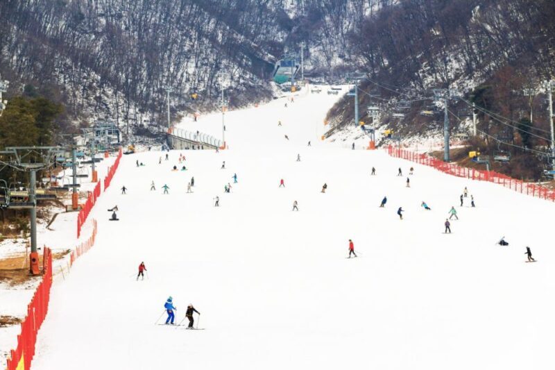 Seoul: Jisan Forest Winter Ski Day Tour with Basic Lesson - Seoul: Jisan Forest Winter Ski Day Tour with Basic Lesson – An Honest Look