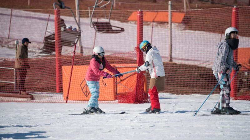 Seoul: Jisan Forest Winter Ski Day Tour with Basic Lesson - Key Points