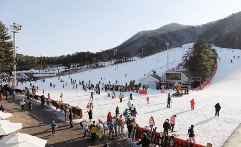 Seoul: Jisan Forest Winter Ski Day Tour with Basic Lesson - Highlights from Travelers’ Perspectives