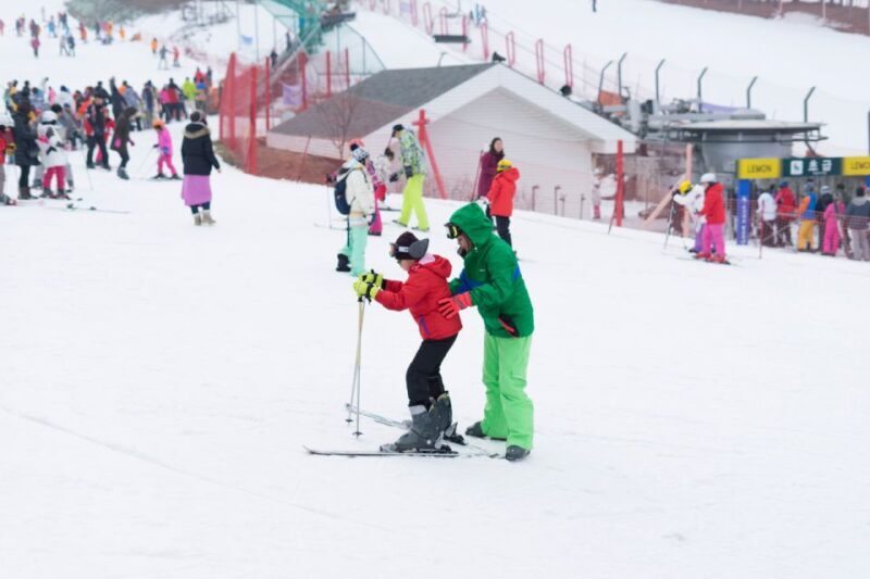 Seoul: Jisan Forest Winter Ski Day Tour with Basic Lesson - Who Should Consider This Tour?