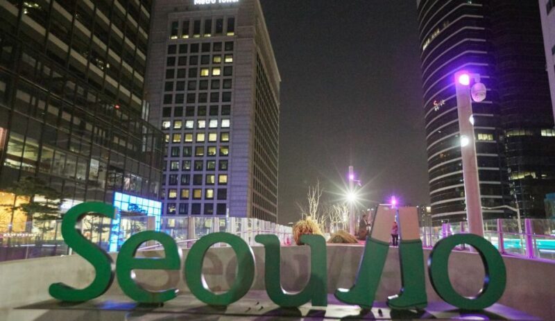Seoul: Moonlight Rainbow Fountain Show Night Tour - Experiencing Seoul by Night: What to Expect