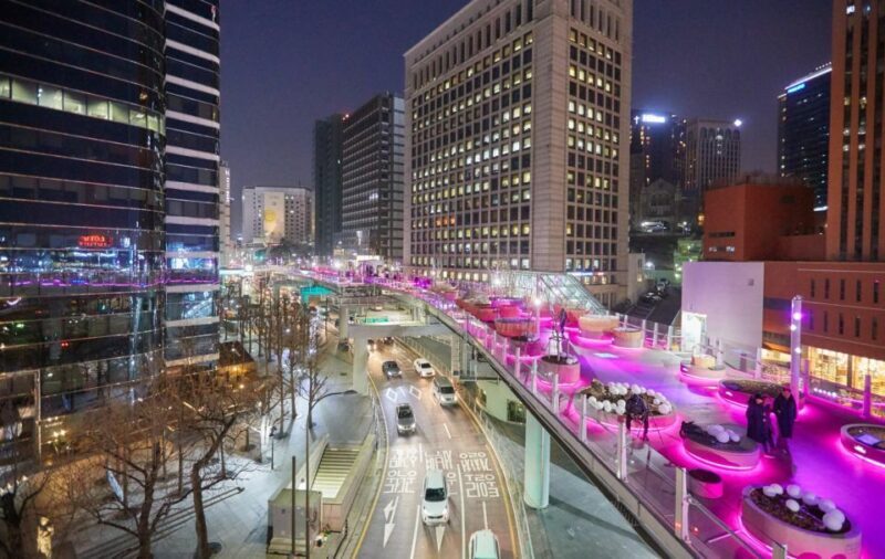 Seoul: Moonlight Rainbow Fountain Show Night Tour - Who Will Love This Tour?