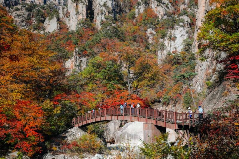 Seoul: Mt Seorak Hike with Naksansa Temple or Nami Island - Key Points