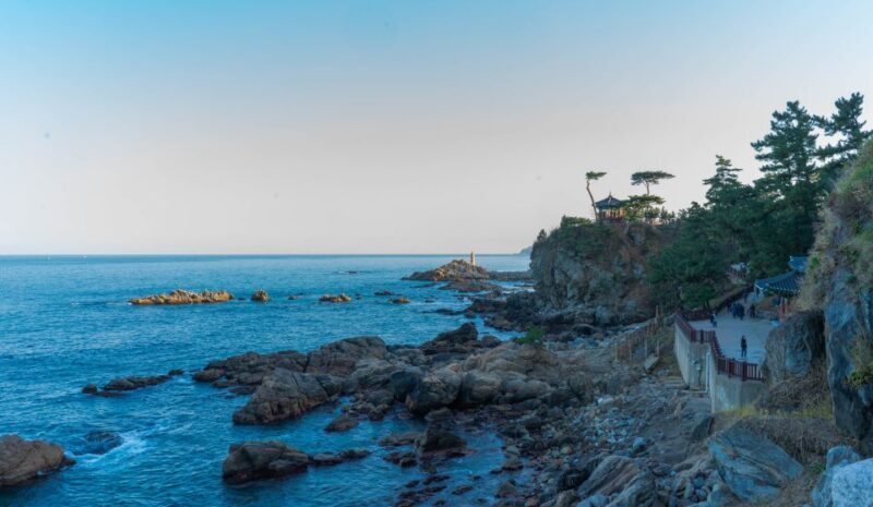 Seoul: Mt Seorak Hike with Naksansa Temple or Nami Island - Final Thoughts
