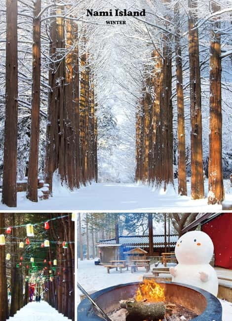 Seoul: Mt. Seorak & Nami Island & Eobi Ice Valley Day Tour - Key Points