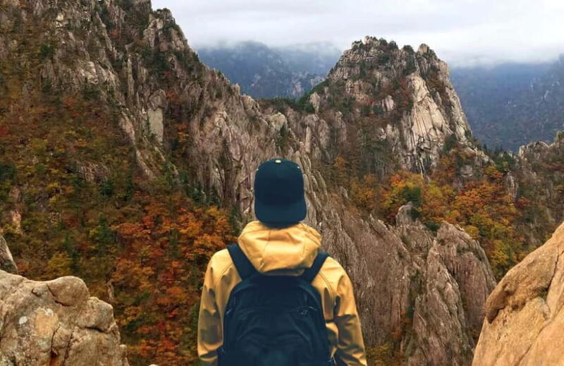 Seoul: Mt. Seorak & Nami Island & Eobi Ice Valley Day Tour - Exploring the Tour in Detail