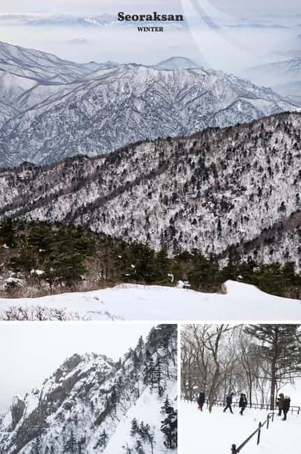 Seoul: Mt. Seorak & Nami Island & Eobi Ice Valley Day Tour - The Sum Up