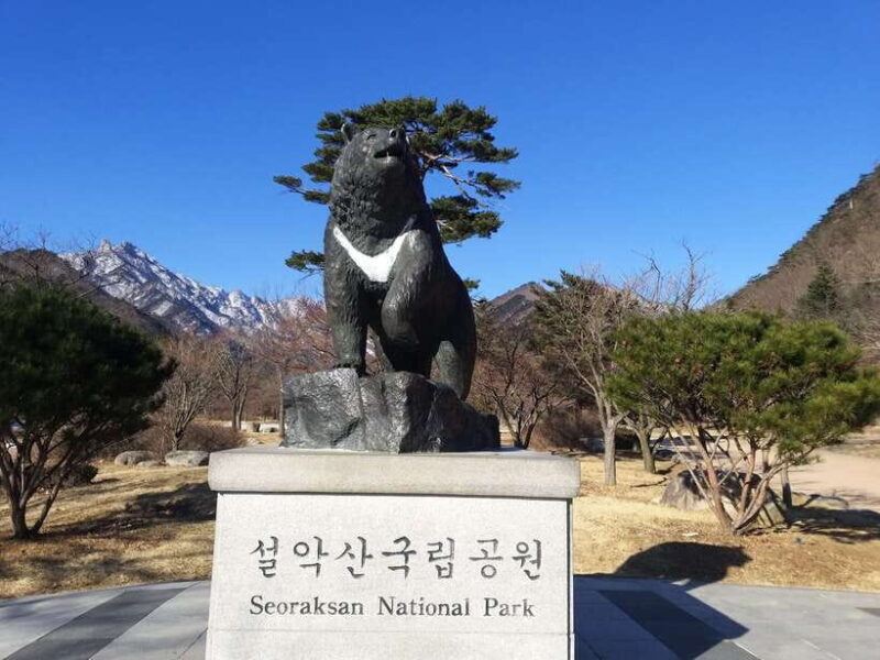 Seoul: Mt.Seorak, Nami Island & Korean Garden, No Shopping - Key Highlights of the Tour
