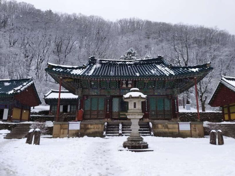 Seoul: Mt.Seorak, Nami Island & Korean Garden, No Shopping - What You Need to Know Before Booking