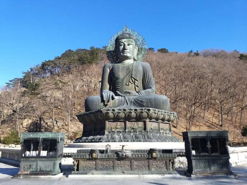 Seoul: Mt.Seorak, Nami Island & Korean Garden, No Shopping - Authentic Feedback from Past Travelers