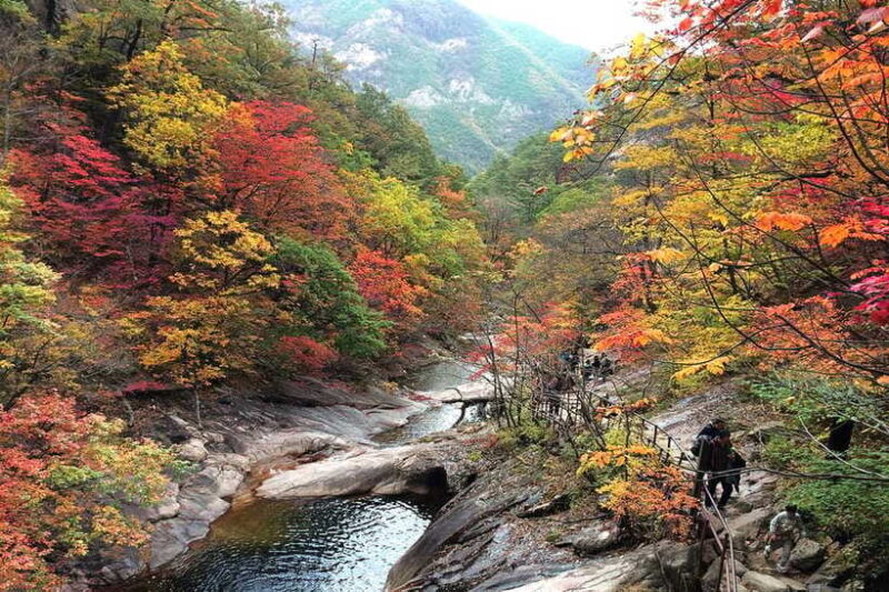Seoul: Mt.Seorak(+CableCar Option)+Sokcho Fish Market&Beach - Who Should Consider This Tour?