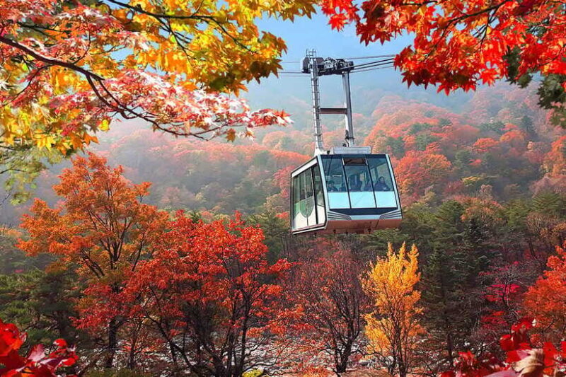 Seoul: Mt.Seorak(+CableCar Option)+Sokcho Fish Market&Beach - FAQs