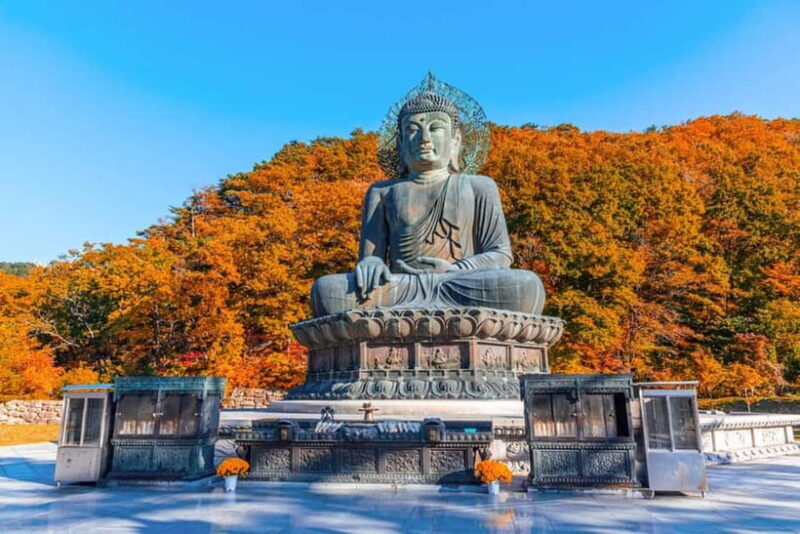 Seoul: Mt. Seoraksan National Park Autumn Foliage Day Tour - Key Points