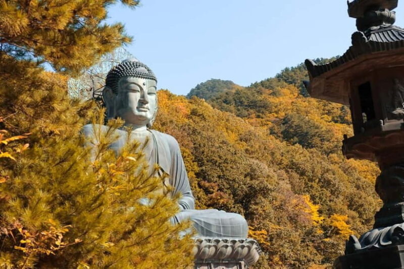 Seoul: Mt. Seoraksan National Park Autumn Foliage Day Tour - A Practical Look at the Experience
