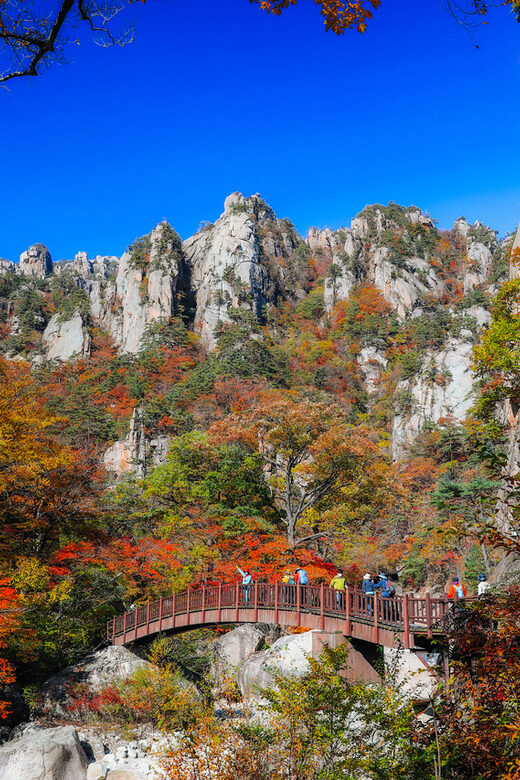 Seoul: Mt. Seoraksan National Park Autumn Foliage Day Tour - Cultural Sights and Quiet Moments