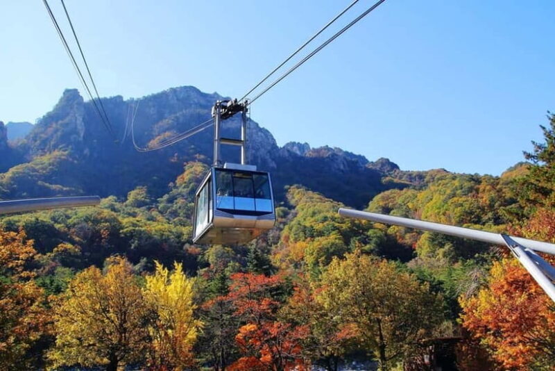 Seoul: Mt. Seoraksan National Park Autumn Foliage Day Tour - Value and Cost Analysis