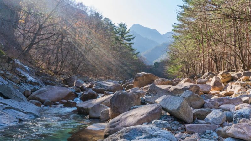 Seoul: Mt. Seoraksan National Park Autumn Foliage Day Tour - Review Highlights from Travelers