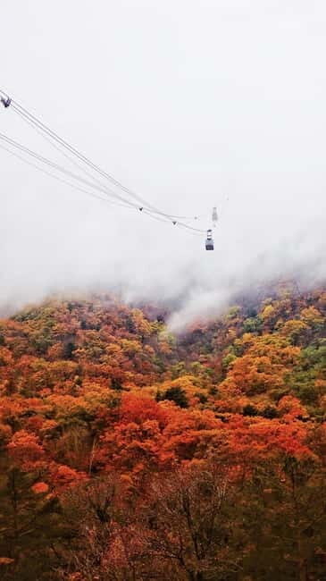 Seoul: Mt. Seoraksan National Park Autumn Foliage Day Tour - Who Will Love This Tour?